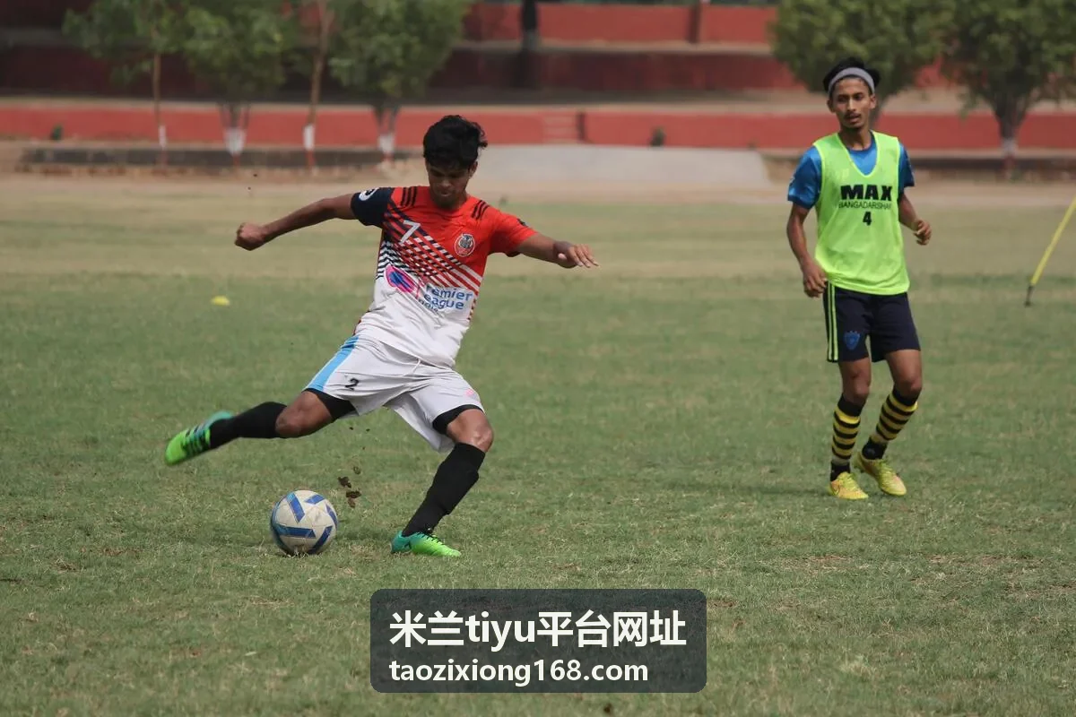 米兰tiyu平台网址本周焦点对决合集封面