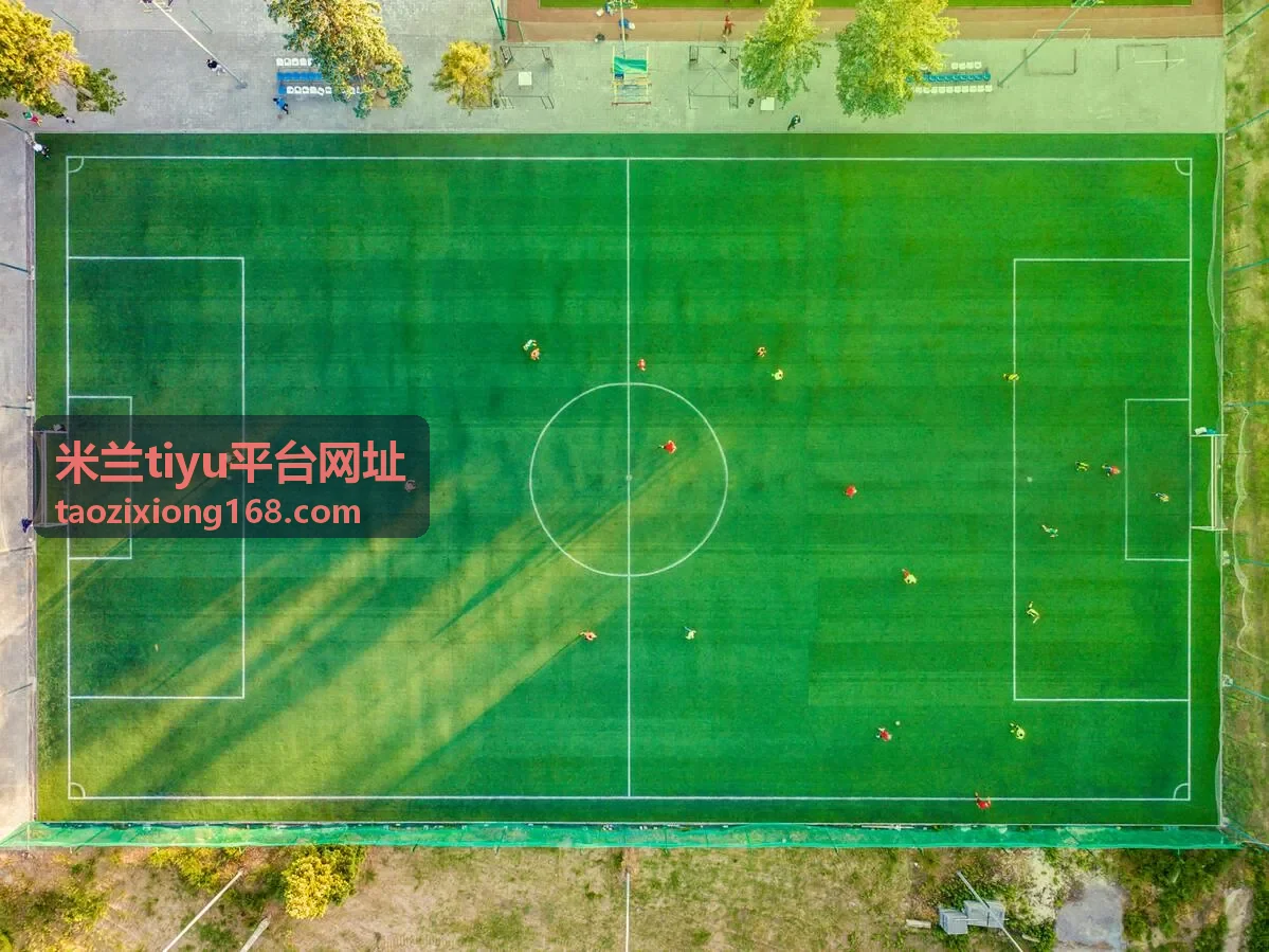米兰tiyu平台网址平台入口总览卡片